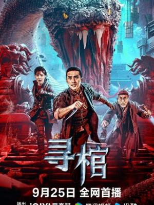 锦年时光
